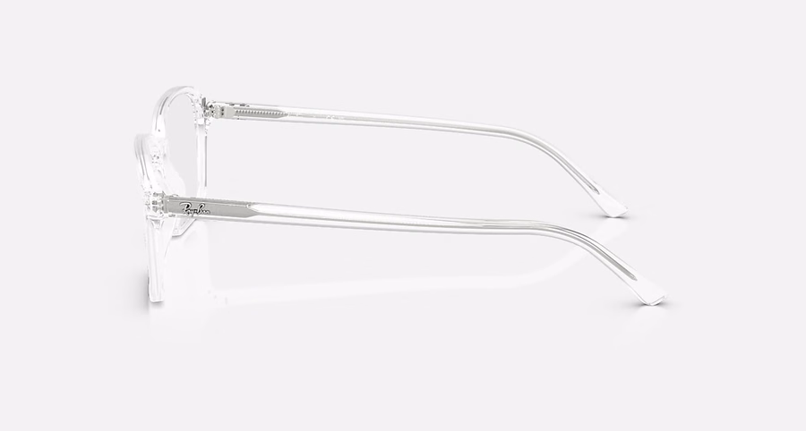 RAIMOND OPTICS