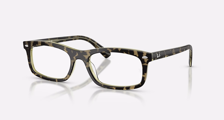 RB5450 OPTIK