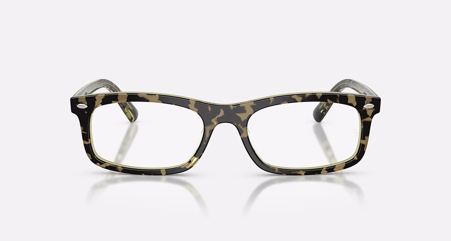 RB5450 OPTIK