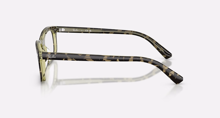 RB5450 OPTIK