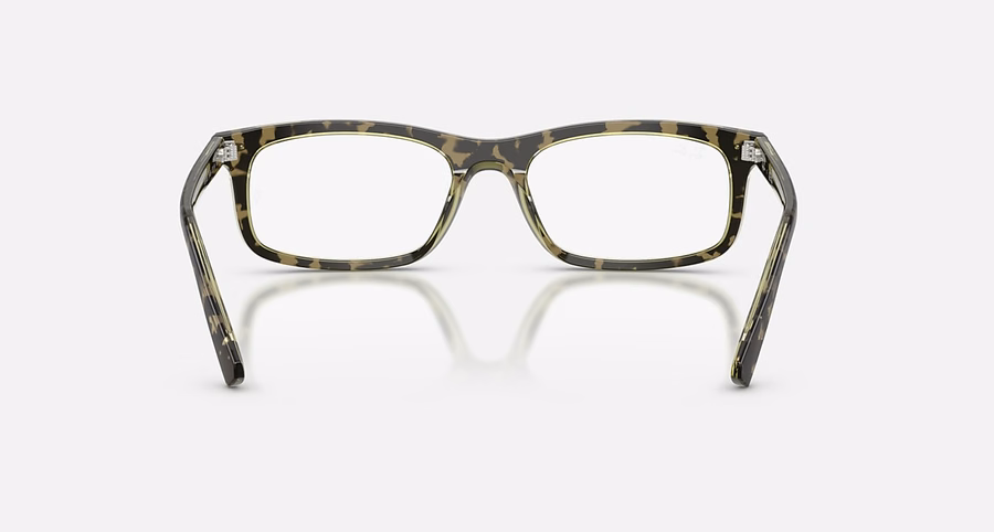 RB5450 OPTIK